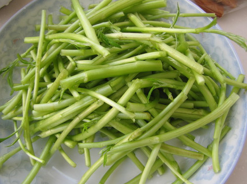 蘆蒿是發(fā)物嗎？蘆蒿是不是發(fā)物