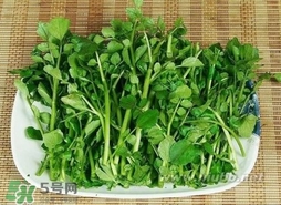 哺乳期能吃西洋菜嗎？哺乳期可以吃西洋菜嗎