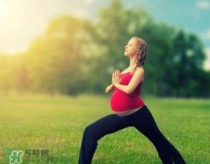 孕婦能吃雞精嗎？孕婦能吃雞精和味精嗎？