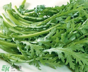 蘆蒿與茼蒿有什么區(qū)別？蘆蒿和茼蒿的區(qū)別