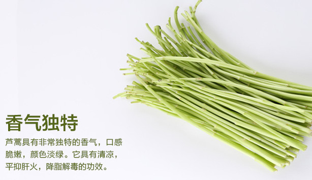 蘆蒿是發(fā)物嗎？蘆蒿是不是發(fā)物
