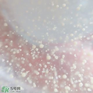 資生堂悅薇和怡麗絲爾哪個(gè)好？資生堂悅薇和怡麗絲爾對(duì)比