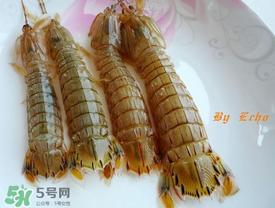 蝦爬子能放多久？蝦爬子怎么保存時(shí)間長(zhǎng)？