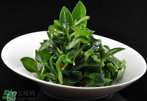 冰草是田七嗎？冰草和田七一樣嗎？