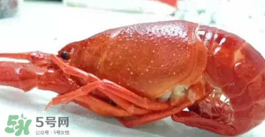 蝦子哪些部位不能吃？蝦子哪些地方不能吃