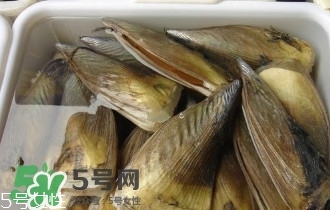 青口貝如何清洗？青口貝怎么處理
