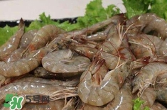 如何挑選新鮮的蝦？買蝦時(shí)候怎么挑選