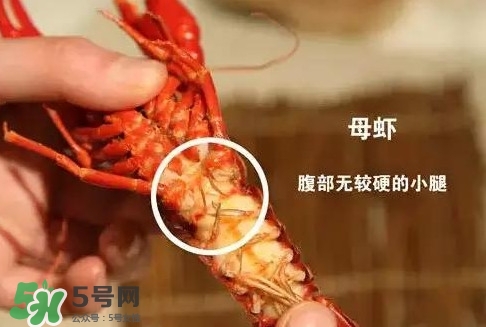 蝦子怎么吃？蝦子的吃法