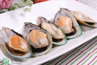 青口貝能生吃嗎？青口貝能多吃嗎