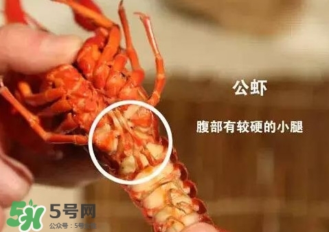 蝦子怎么吃？蝦子的吃法