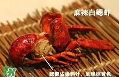 蝦子怎么吃？蝦子的吃法