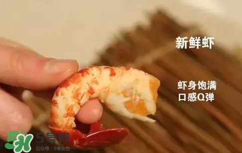 蝦子怎么吃？蝦子的吃法
