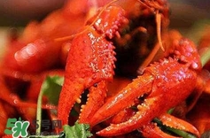 如何挑選新鮮的蝦？買蝦時(shí)候怎么挑選