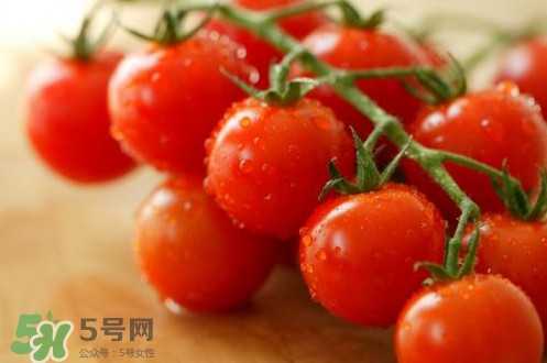 小番茄怎么洗？小番茄怎么清洗