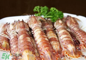 蝦爬子是寒性的嗎？蝦爬子是熱性的還是寒性的？