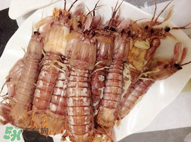 蝦爬子是皮皮蝦嗎？皮皮蝦和蝦爬子的區(qū)別