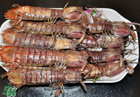 蝦爬子可以煮嗎？蝦爬子怎么煮？