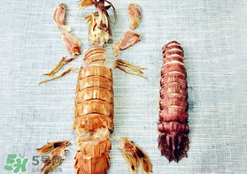 蝦爬子有黃嗎？蝦爬子黃營養(yǎng)價(jià)值