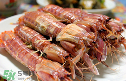 蝦爬子怎么分公母？蝦爬子公母區(qū)別