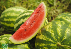 蝦爬子和西瓜一起吃嗎？吃完蝦爬子能吃西瓜嗎？