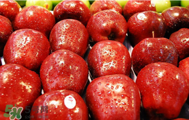 吃完皮皮蝦能吃蘋果嗎？皮皮蝦和蘋果能一起吃嗎？