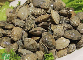蜆子不能和什么一起吃？吃蜆子不能吃什么？
