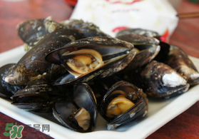 淡菜什么時(shí)候最肥？淡菜什么時(shí)候吃最好？