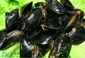 哪些人不適合吃淡菜？淡菜什么人不能吃？