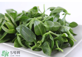 冰菜和穿心蓮是同一種菜嗎？冰菜和穿心蓮是一科嗎？