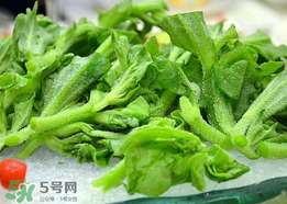 冰菜孕婦能吃嗎？孕婦能不能吃冰菜？