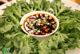 冰菜怎么涼拌？冰菜可以用沙拉醬拌嗎？