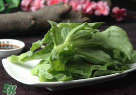 冰菜可以生吃嗎？冰菜能生吃嗎？