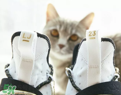 nike lebron 14怎么樣？耐克lebron 14測(cè)評(píng)