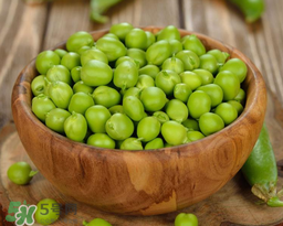 豌豆不能和什么一起吃？豌豆和什么不能一起吃？