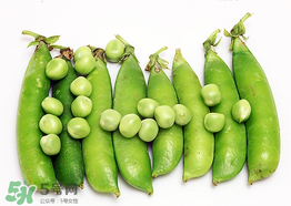 豌豆不能和什么一起吃？豌豆和什么不能一起吃？