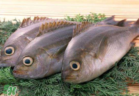 蠶豆和魚能一起吃嗎？蠶豆和魚吃相克嗎？