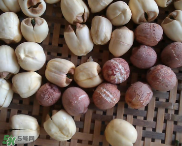 芡實(shí)不能和什么一起吃？芡實(shí)不能與什么同食？