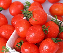 千禧果和圣女果的區(qū)別 千禧果和圣女果哪個(gè)好吃？