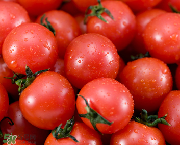 千禧果和圣女果的區(qū)別 千禧果和圣女果哪個(gè)好吃？