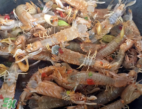 瀨尿蝦是皮皮蝦嗎？瀨尿蝦和皮皮蝦的區(qū)別