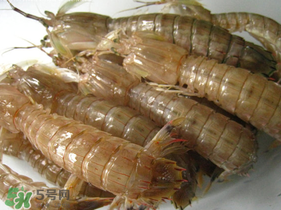 瀨尿蝦是皮皮蝦嗎？瀨尿蝦和皮皮蝦的區(qū)別