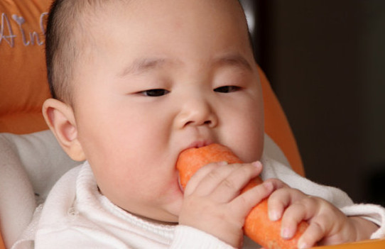 胡蘿卜與什么不能同食？胡蘿卜不能和什么一起吃