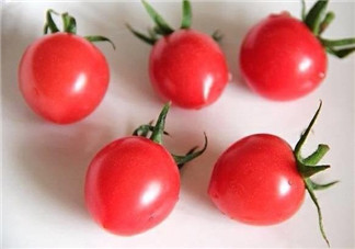 千禧果和圣女果的區(qū)別 千禧果和圣女果哪個好吃？