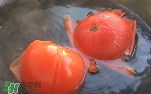 番茄怎么去皮？如何給番茄去皮