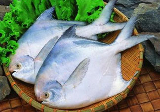 蠶豆和魚能一起吃嗎？蠶豆和魚吃相克嗎？