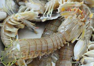 爬蝦哪些部位不能吃？爬哪里不能吃圖解？