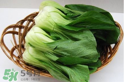 雞毛菜怎么種？雞毛菜的種植方法