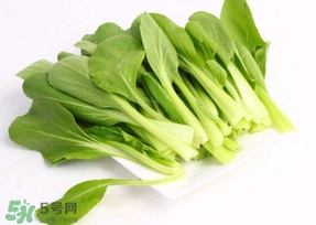 雞毛菜怎么種？雞毛菜的種植方法