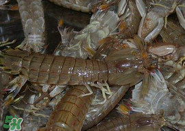 爬蝦哪些部位不能吃？爬哪里不能吃圖解？