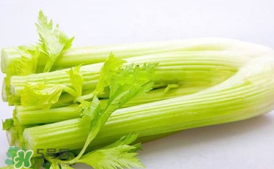 西芹是轉(zhuǎn)基因的嗎？西芹是不是轉(zhuǎn)基因
